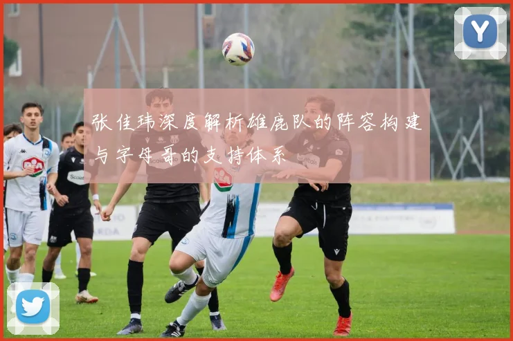张佳玮深度解析雄鹿队的阵容构建与字母哥的支持体系